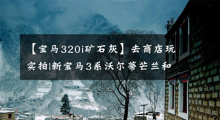 【宝马320i矿石灰】去商店玩实拍|新宝马3系沃尔蒂芒兰和矿石材料哪个更帅？