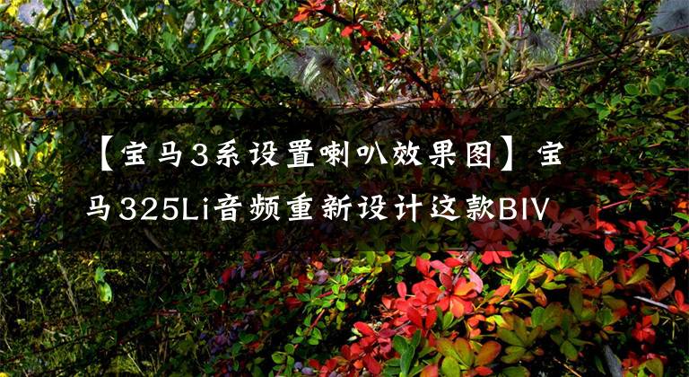 【宝马3系设置喇叭效果图】宝马325Li音频重新设计这款BIVI扬声器效果发挥了极致。