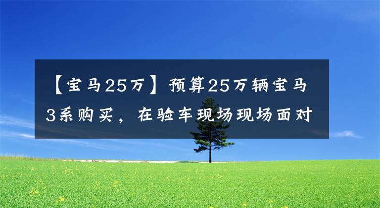 【宝马25万】预算25万辆宝马3系购买，在验车现场现场面对面！定金的退还速度比任何人都快