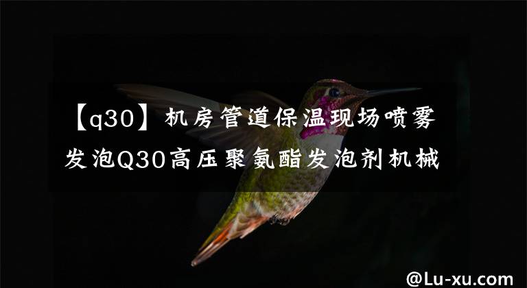 【q30】机房管道保温现场喷雾发泡Q30高压聚氨酯发泡剂机械按钮控制