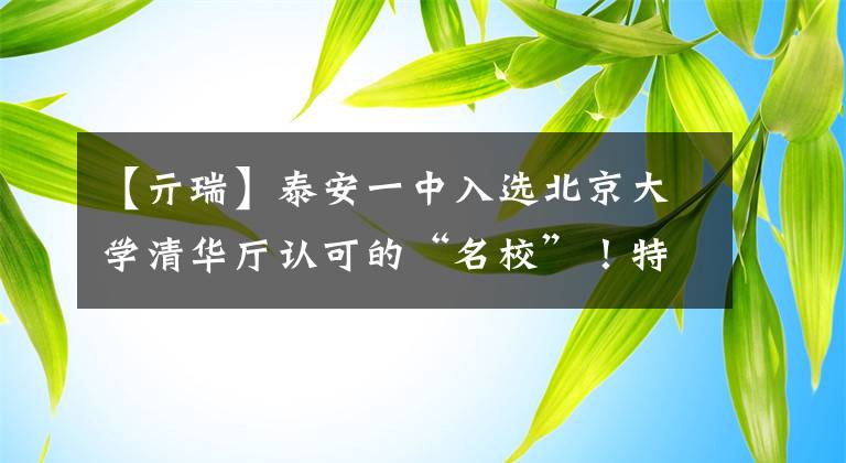 【亓瑞】泰安一中入选北京大学清华厅认可的“名校”！特别优秀的学生降到了一本线合格！