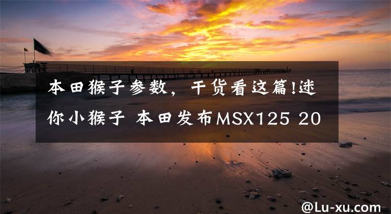 本田猴子参数，干货看这篇!迷你小猴子 本田发布MSX125 2018款全新配色