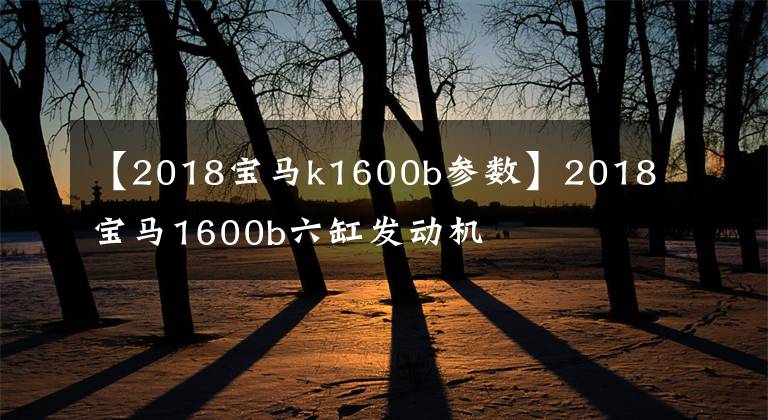 【2018宝马k1600b参数】2018宝马1600b六缸发动机