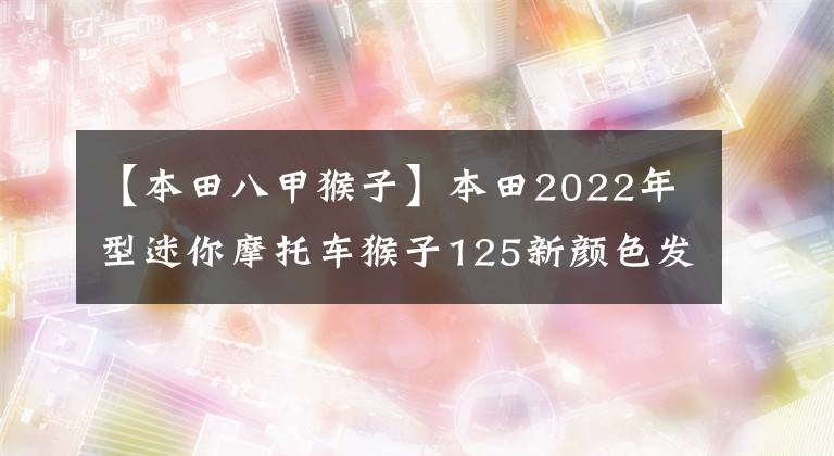 【本田八甲猴子】本田2022年型迷你摩托车猴子125新颜色发布