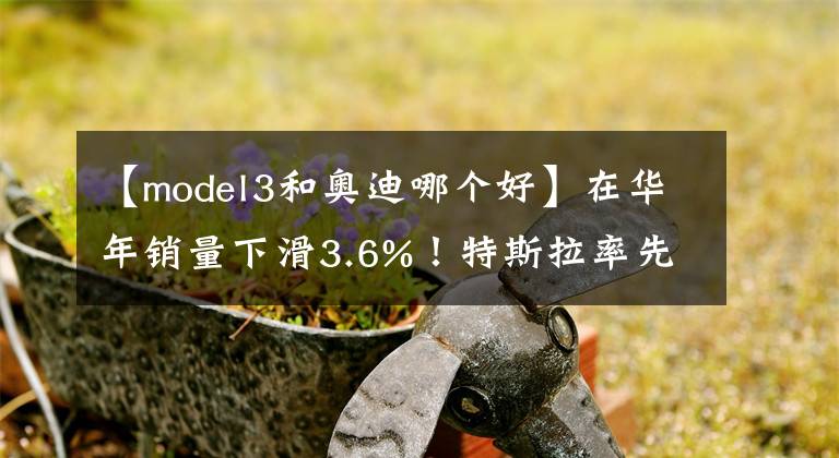 【model3和奥迪哪个好】在华年销量下滑3.6%！特斯拉率先超越的是奥迪？