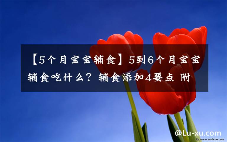 【5个月宝宝辅食】5到6个月宝宝辅食吃什么？辅食添加4要点 附3款辅食推荐