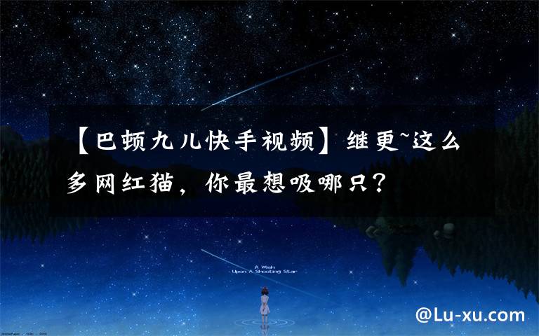 【巴顿九儿快手视频】继更~这么多网红猫，你最想吸哪只？