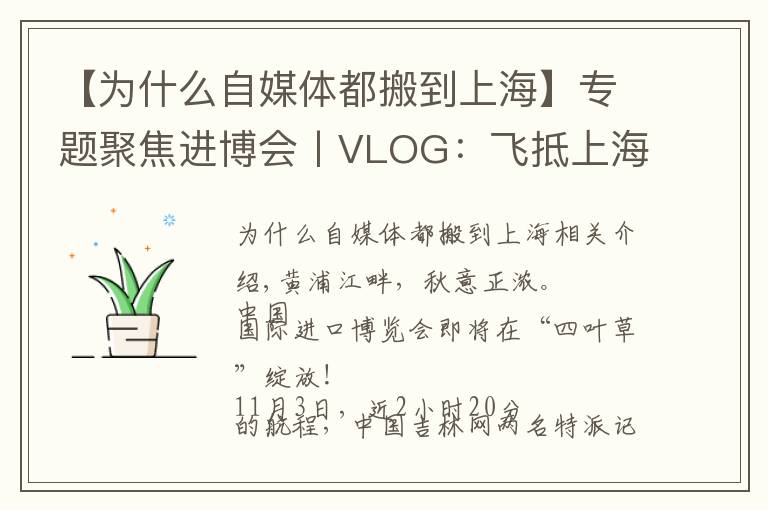【为什么自媒体都搬到上海】专题聚焦进博会丨VLOG：飞抵上海后 在展会中“记者娘家”被暖到了……