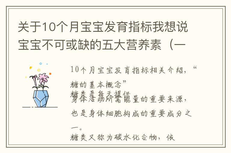 关于10个月宝宝发育指标我想说宝宝不可或缺的五大营养素（一）