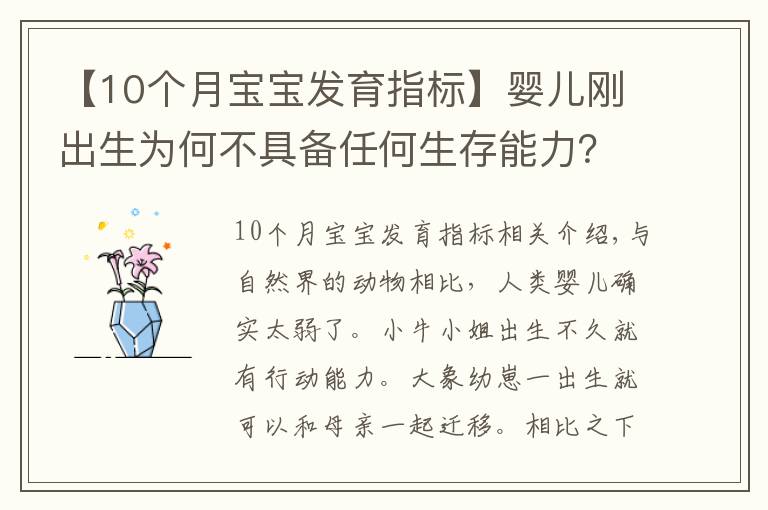 【10个月宝宝发育指标】婴儿刚出生为何不具备任何生存能力？