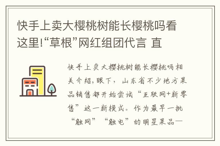 快手上卖大樱桃树能长樱桃吗看这里!“草根”网红组团代言 直播带货大樱桃销售达2632单