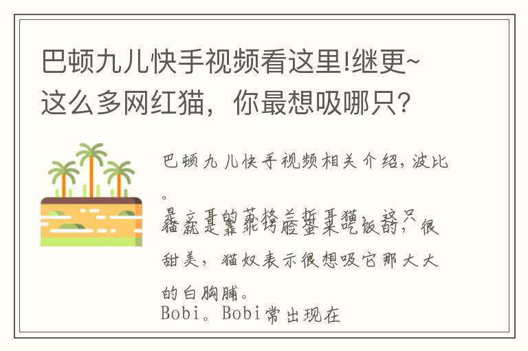 巴顿九儿快手视频看这里!继更~这么多网红猫，你最想吸哪只？