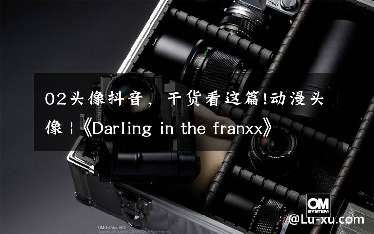 02头像抖音，干货看这篇!动漫头像 |《Darling in the franxx》02