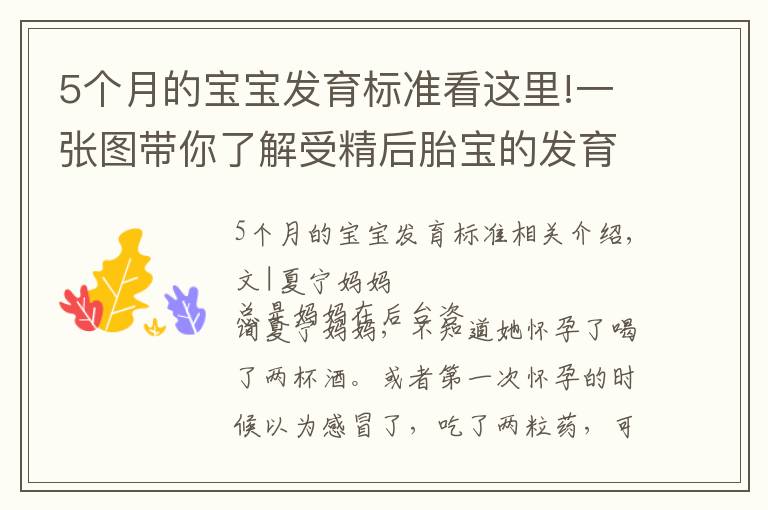 5个月的宝宝发育标准看这里!一张图带你了解受精后胎宝的发育，孕妈早清楚避免畸形发生