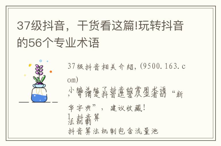 37级抖音，干货看这篇!玩转抖音的56个专业术语