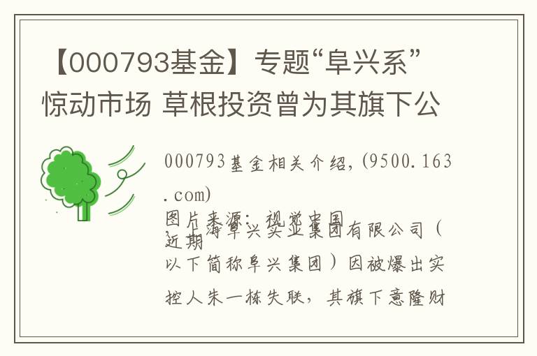 【000793基金】专题“阜兴系”惊动市场 草根投资曾为其旗下公司巨额授信