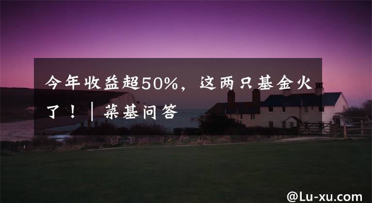 今年收益超50%，这两只基金火了！｜菜基问答