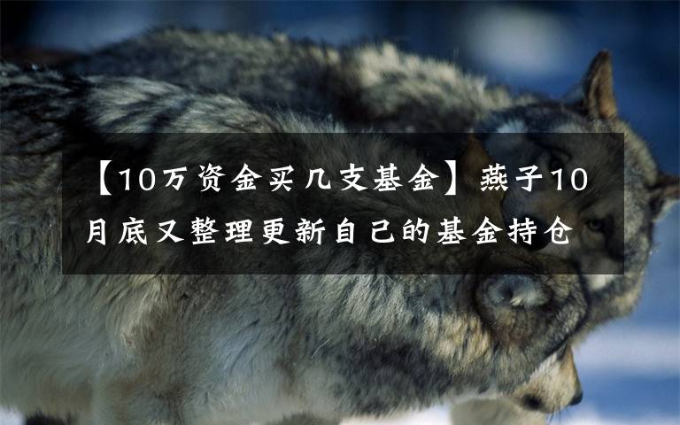 【10万资金买几支基金】燕子10月底又整理更新自己的基金持仓给小伙伴们参考了