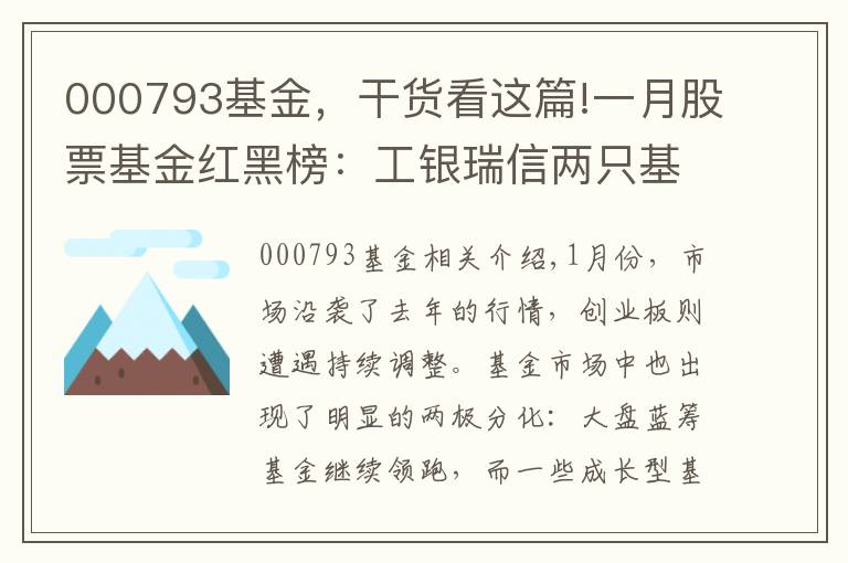 000793基金，干货看这篇!一月股票基金红黑榜：工银瑞信两只基金跨年垫底