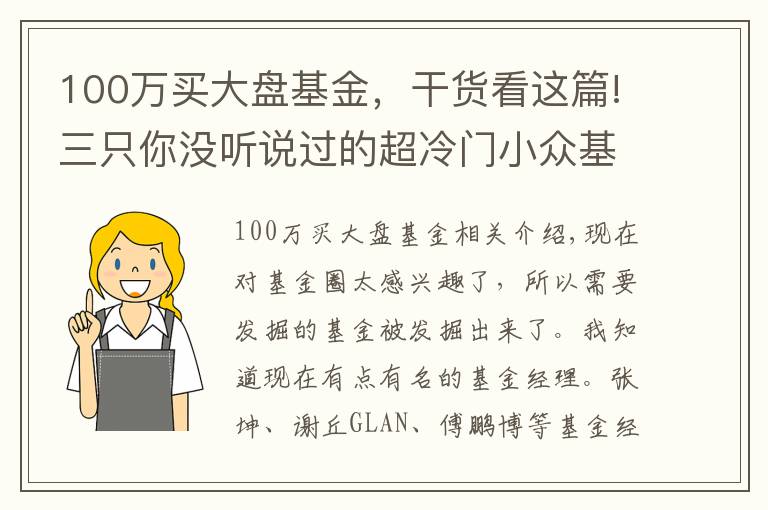 100万买大盘基金，干货看这篇!三只你没听说过的超冷门小众基金