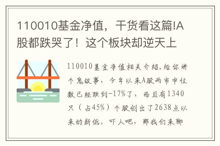 110010基金净值，干货看这篇!A股都跌哭了！这个板块却逆天上涨了33%