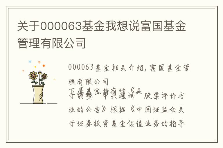 关于000063基金我想说富国基金管理有限公司