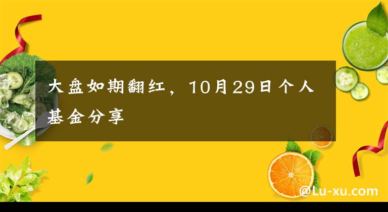 大盘如期翻红，10月29日个人基金分享