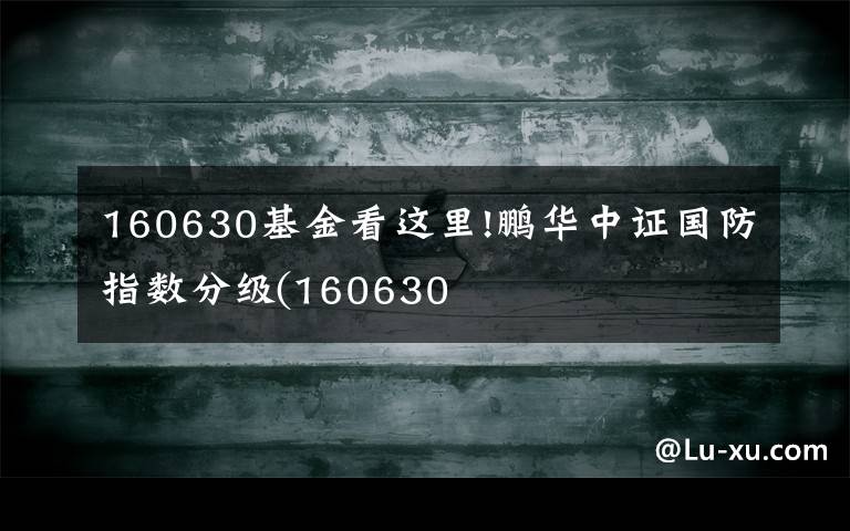 160630基金看这里!鹏华中证国防指数分级(160630