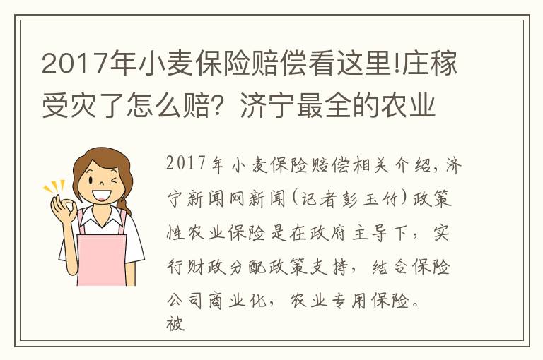 2017年小麦保险赔偿看这里!庄稼受灾了怎么赔？济宁最全的农业保险目录在这里！