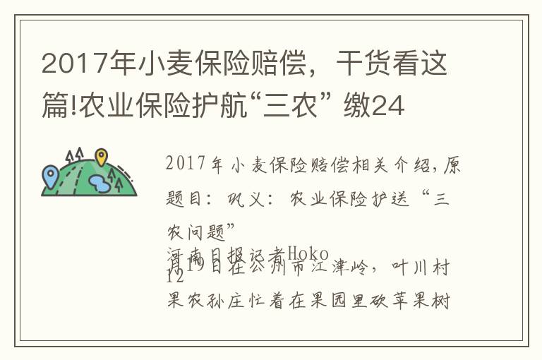 2017年小麦保险赔偿，干货看这篇!农业保险护航“三农” 缴2415元保费获赔付10万