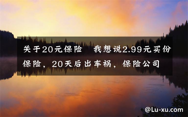 关于20元保险	我想说2.99元买份保险，20天后出车祸，保险公司赔付30万！