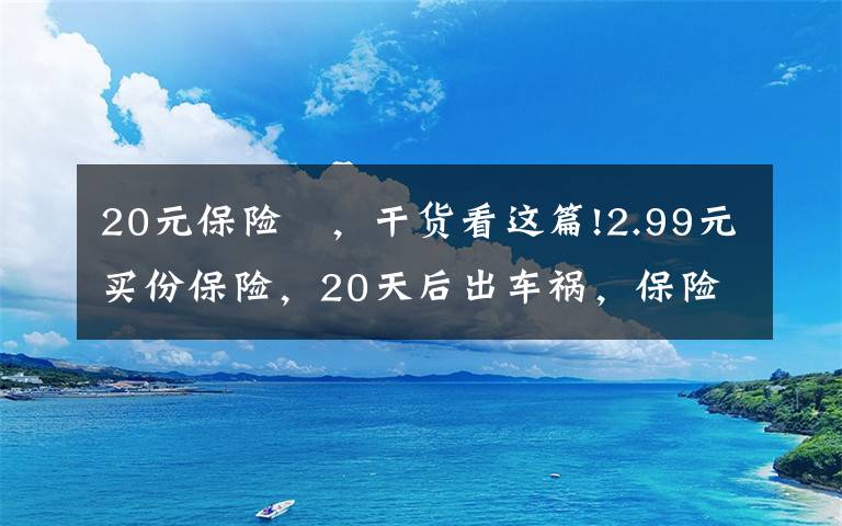 20元保险	，干货看这篇!2.99元买份保险，20天后出车祸，保险公司赔付30万！