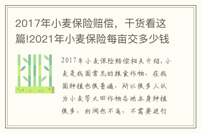 2017年小麦保险赔偿，干货看这篇!2021年小麦保险每亩交多少钱？哪些情况损失不保？