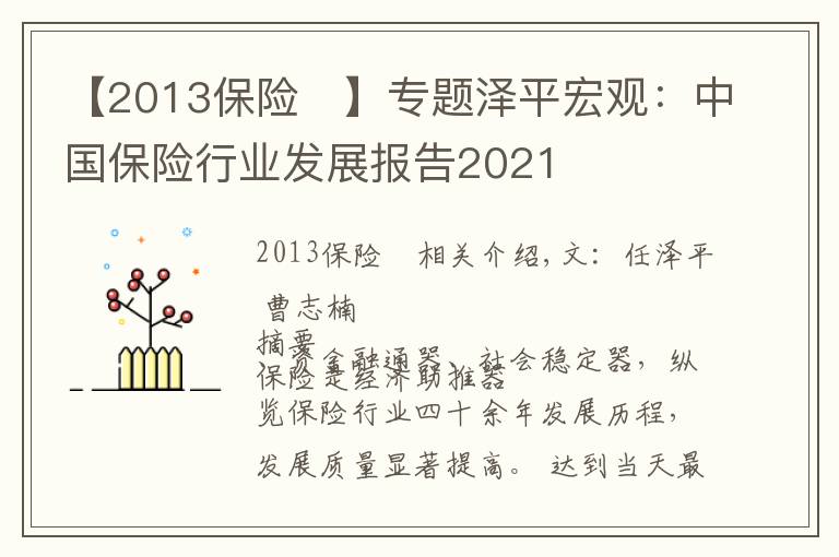 【2013保险	】专题泽平宏观：中国保险行业发展报告2021