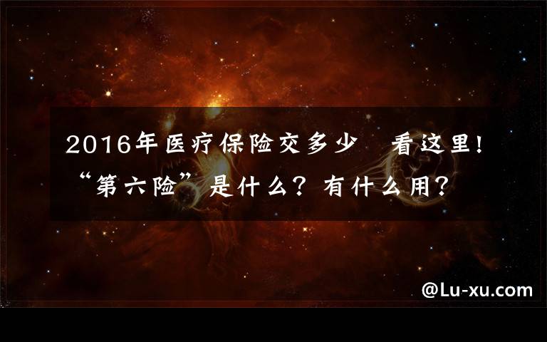 2016年医疗保险交多少	看这里!“第六险”是什么？有什么用？了解一下