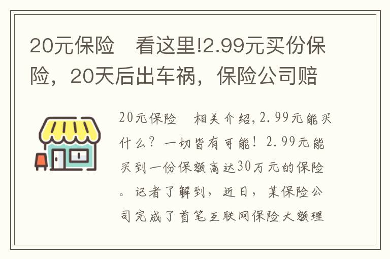 20元保险	看这里!2.99元买份保险，20天后出车祸，保险公司赔付30万！