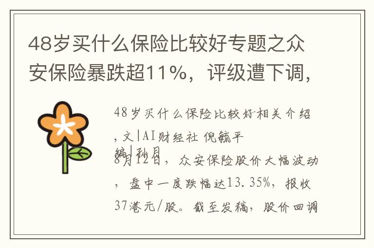 48岁买什么保险比较好专题之众安保险暴跌超11%，评级遭下调，“明星产品”被监管重罚