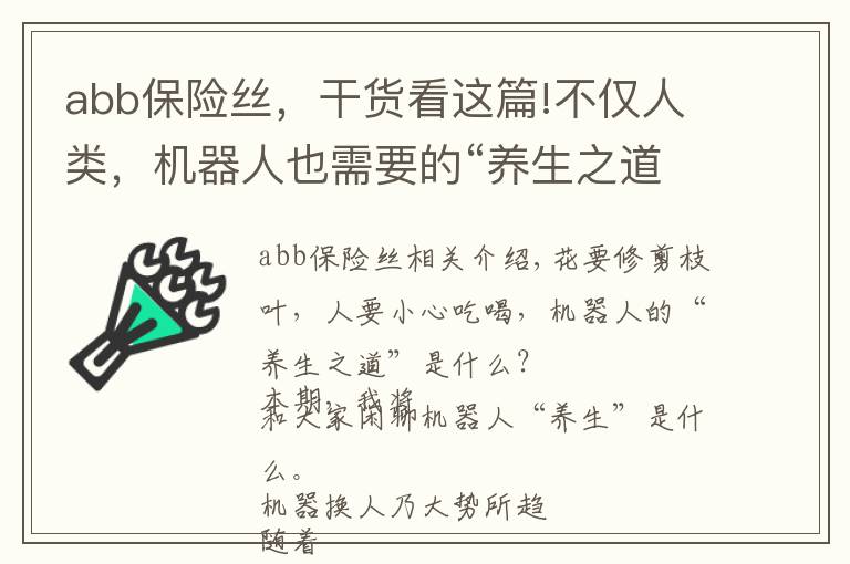 abb保险丝，干货看这篇!不仅人类，机器人也需要的“养生之道”