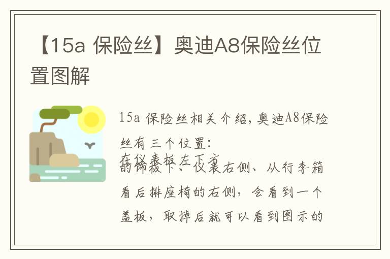 【15a 保险丝】奥迪A8保险丝位置图解