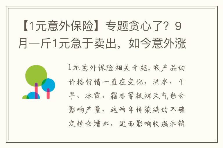 【1元意外保险】专题贪心了？9月一斤1元急于卖出，如今意外涨价，农民却惜售等价