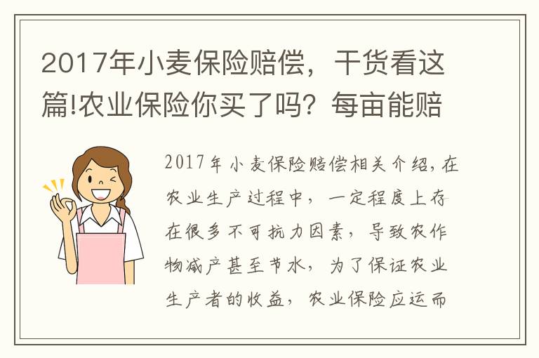 2017年小麦保险赔偿，干货看这篇!农业保险你买了吗？每亩能赔多少钱？