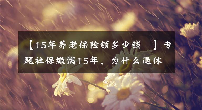 【15年养老保险领多少钱	】专题社保缴满15年，为什么退休后的养老金才800多元？应该怎么办？