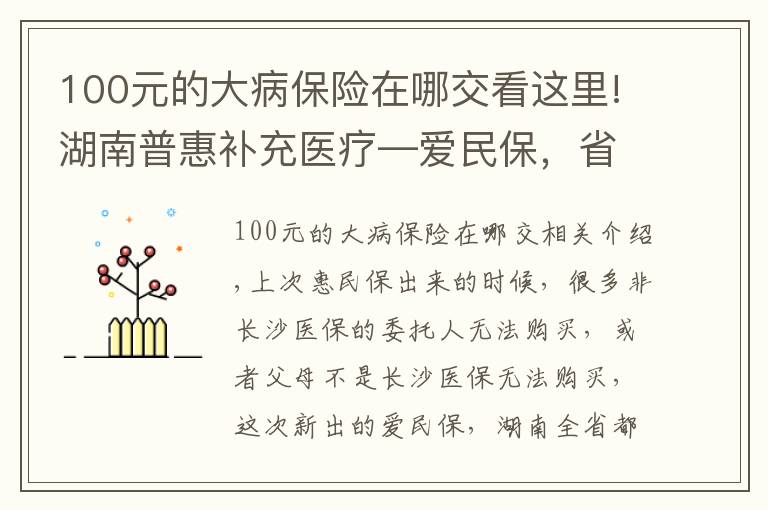 100元的大病保险在哪交看这里!湖南普惠补充医疗—爱民保，省内均可购买