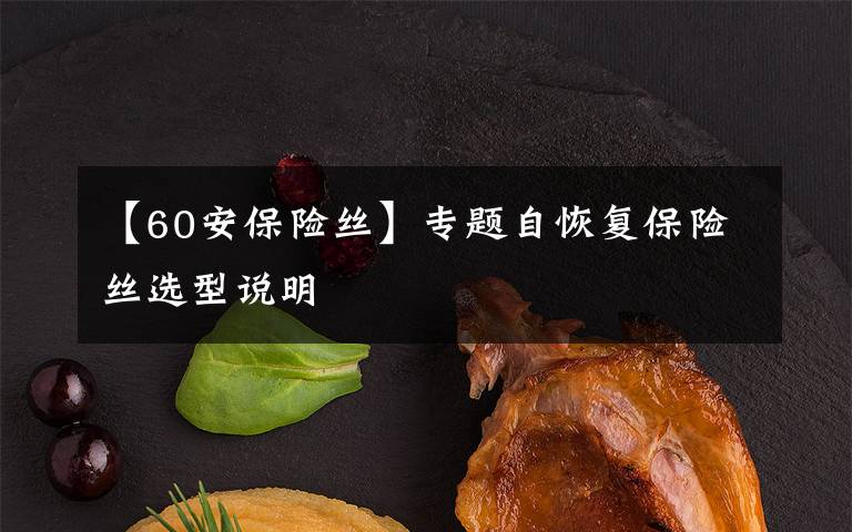 【60安保险丝】专题自恢复保险丝选型说明