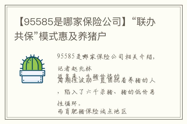 【95585是哪家保险公司】“联办共保”模式惠及养猪户