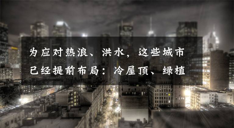 为应对热浪、洪水，这些城市已经提前布局：冷屋顶、绿植墙、垂直农场…