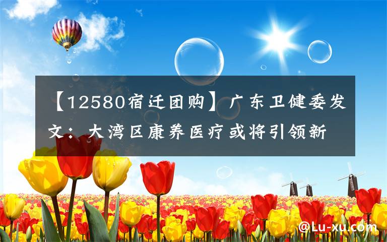 【12580宿迁团购】广东卫健委发文：大湾区康养医疗或将引领新“蓝海”