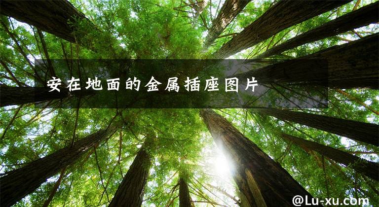 安在地面的金属插座图片