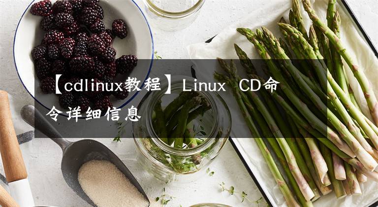 【cdlinux教程】Linux CD命令详细信息