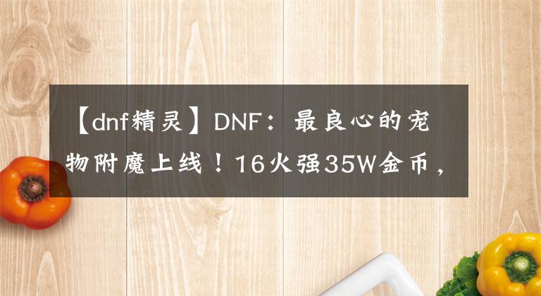 【dnf精灵】DNF：最良心的宠物附魔上线！16火强35W金币，搬砖号也能换了